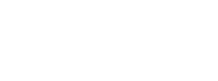 Vevvo Professional